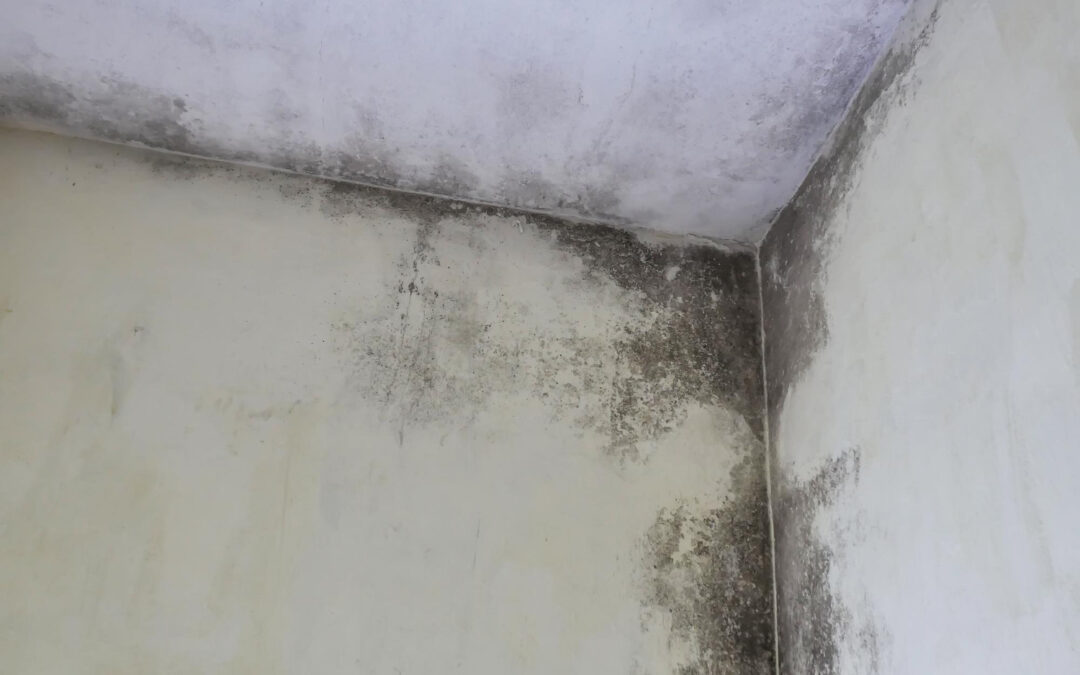 slab mold